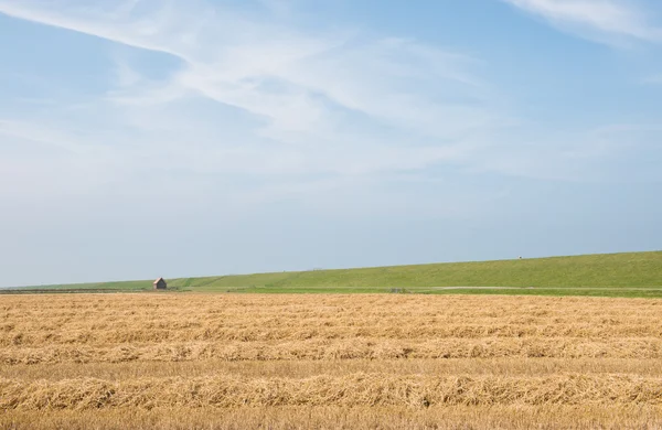 Wide landschap with house — Stock Photo, Image