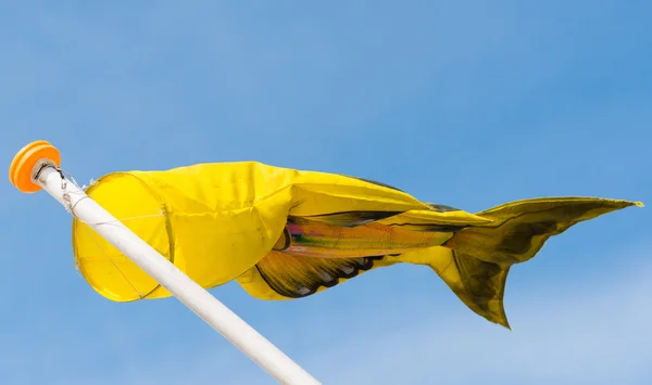 Balık bayrağı — Stok fotoğraf