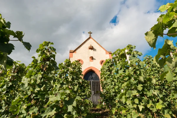 Little chapel in vineyard — Stock Photo, Image