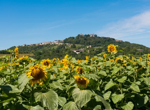 Kullen av sancerre — Stockfoto