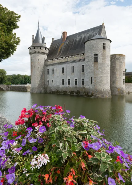 Castle with flowers — Stock Photo, Image