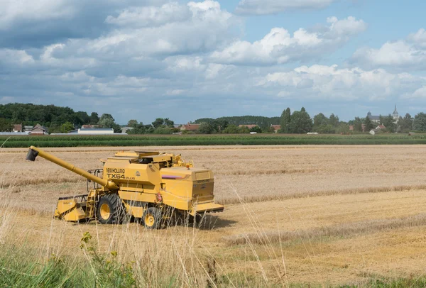 Skörd — Stockfoto