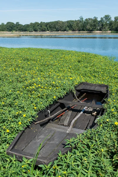 Barco de remos — Foto de Stock