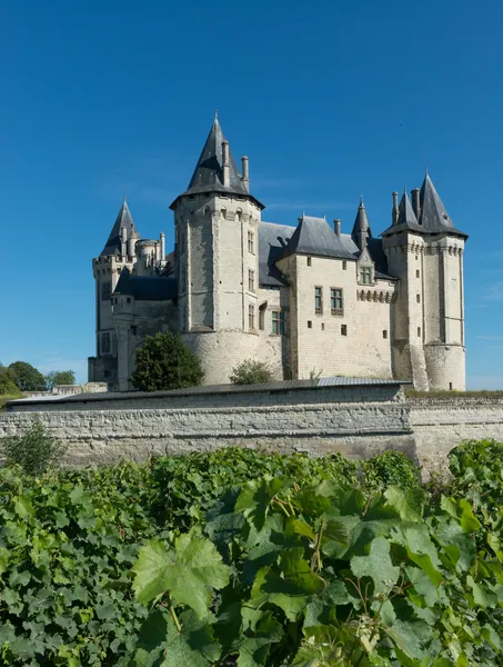 Замок в місті Saumur — стокове фото