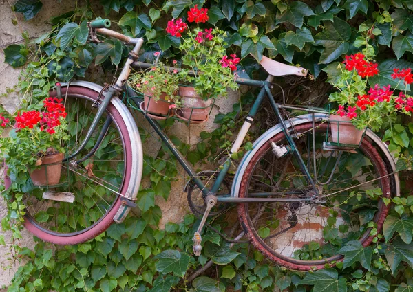 Cykel med blommor — Stockfoto