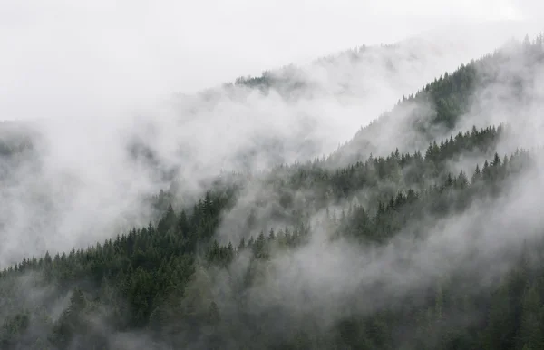 Góry we mgle — Zdjęcie stockowe
