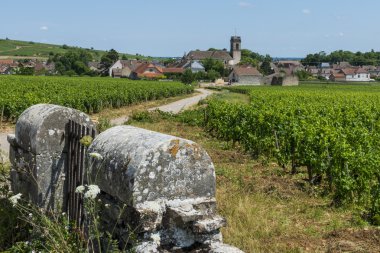 pommard mahzeninde
