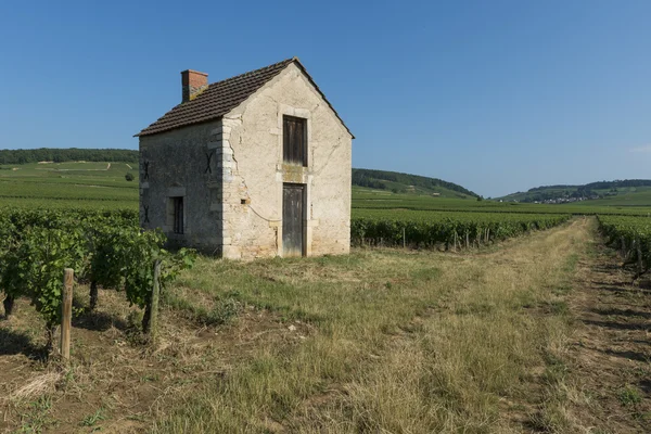 Vingården house i beaune — Stockfoto