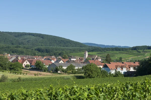 Виноградник и деревня — стоковое фото