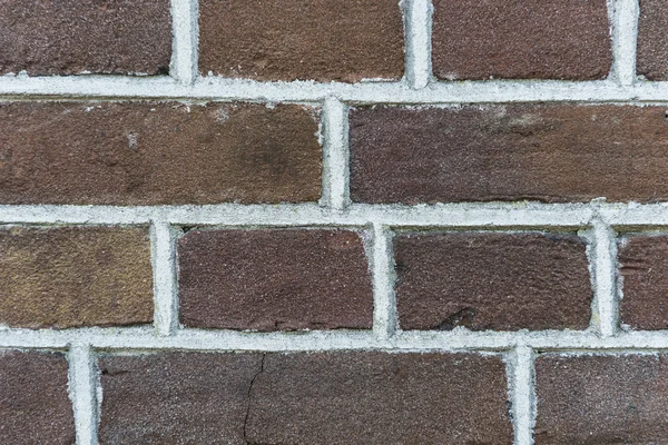 Brick wall — Stock Photo, Image