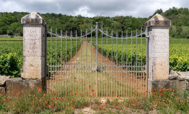 Chassagne-Montrachet, France - June 29, 2020: Vineyard with gate of Domaine Saint Jean Regis Parigot in Burgundy, France.
