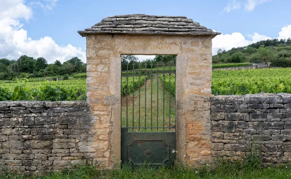 Chassagne Montrachet France June 2020 Vineyard Domaine Leflaive Gate Burgundy — Stockfoto