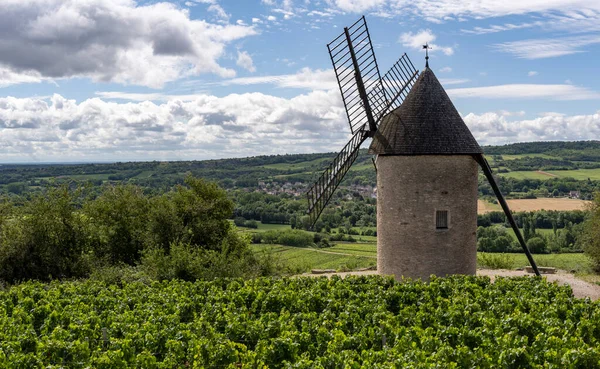 Molino Santenay Borgoña Francia Con Grandes Viñedos Día Verano —  Fotos de Stock