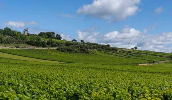Mill Santenay Burgundy France Great Vinyards Summers Day — Fotografia de Stock