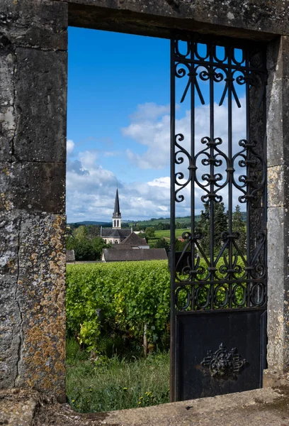 Village Santenay Church Vineyards Burgundy France — Stock Photo, Image