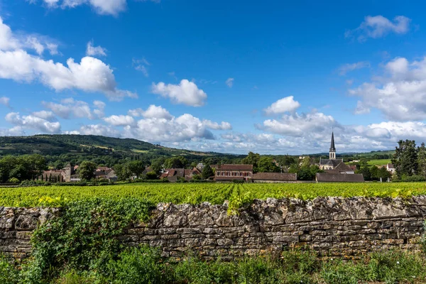 Village Santenay Church Vineyards Burgundy France — ストック写真