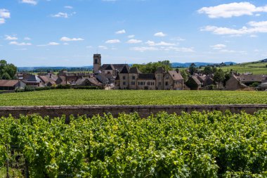 Vineyards and Rhone valley near the wine village of Pommard in Burgundy, France.