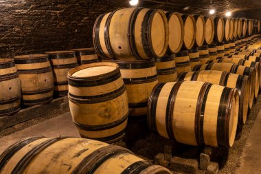 Meursault, France - July 2, 2020: Wine barrels in the cellar of the domaine Ropiteau Freres, Meursault, burgundy, France.