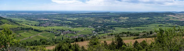 Panorama Vineyards Rhone Valley Wine Village Santenay Burgundy France — Stok fotoğraf