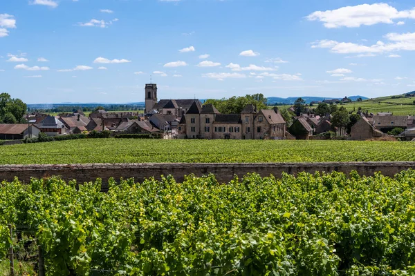 Vineyards Rhone Valley Wine Village Pommard Burgundy France — Stok fotoğraf