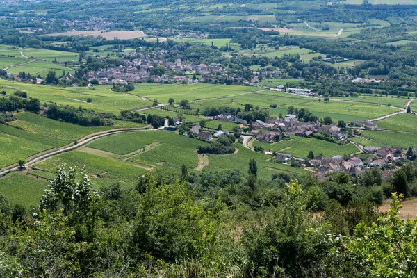 フランス ブルゴーニュのサンテナイのワイン村の近くのブドウ畑とローヌ渓谷 — ストック写真