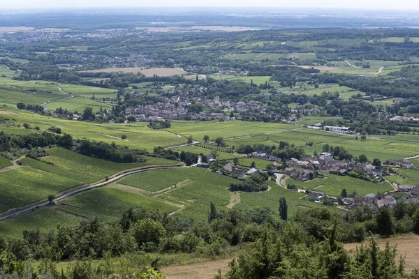 Vineyards Rhone Valley Wine Village Santenay Burgundy France — стоковое фото
