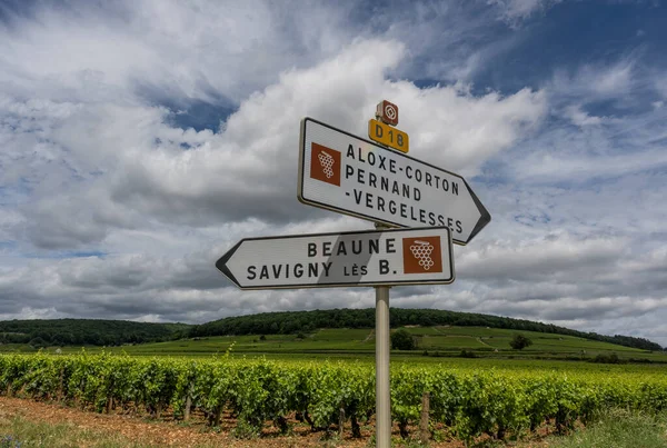 Beaune France July 2020 Sign Wine Car Route Burgundy Beaune — Stockfoto
