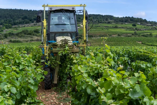 Santenay France July 2020 Machine Tractor Used Vineyards Santenay Burgundy — Stockfoto