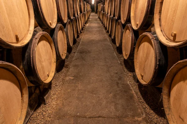 Meursault France July 2020 Wine Barrels Cellar Domaine Ropiteau Freres — стокове фото