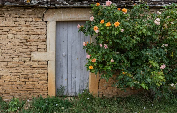 Aloxe Corton France July 2020 Vineyard Domaine Clos Blanche Gate — 图库照片