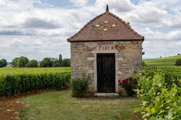 Aloxe Corton France July 2020 Small House Domaine Jean Fery 免版税图库照片