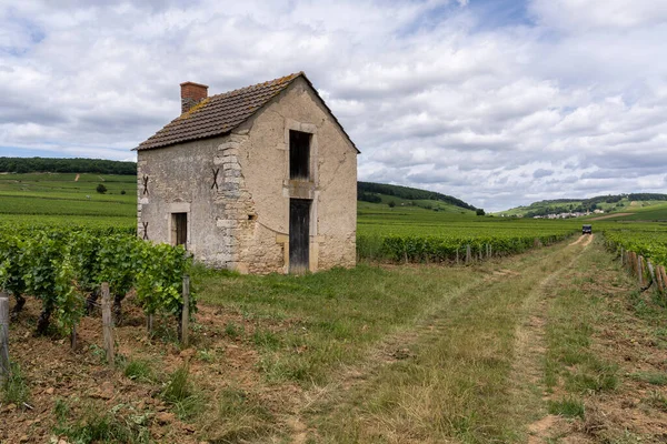 法国勃艮第多明尼亚葡萄园上的小房子 夏日多云 图库图片