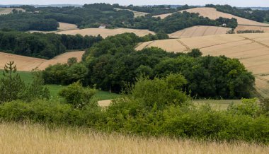 Fransa 'nın ücra bir köşesindeki buğday tarlaları ve ormanlar.