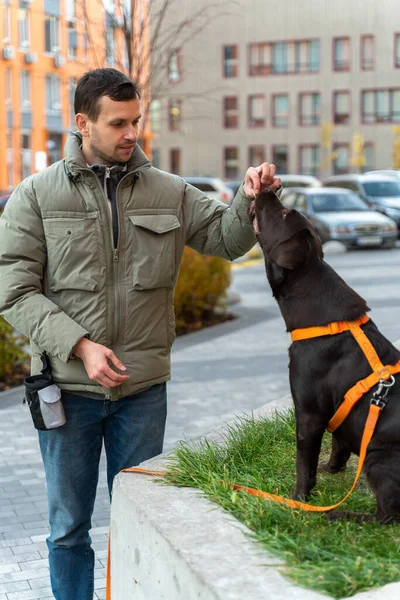 Bearded Guy Walk City His Dog Labrador Happy Handsome Man — Photo