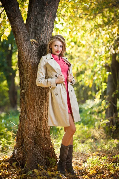 Beautiful woman spending time in park during autumn season .Young pretty woman at the autumn park — Stock Photo, Image
