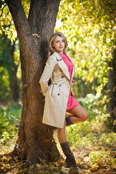 Hermosa mujer pasar tiempo en el parque durante la temporada de otoño.Joven mujer bonita en el parque de otoño — Foto de Stock