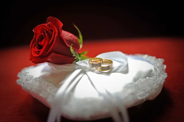 Dos anillos en almohada blanca —  Fotos de Stock