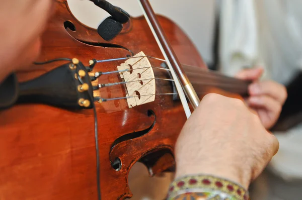 Musiker spela fiol på operan — Stockfoto