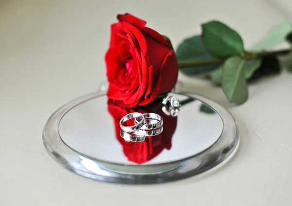 Wedding rings with rose flower — Stock Photo, Image