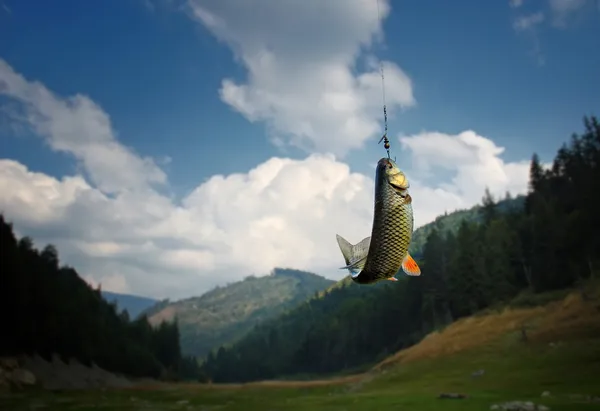 Fishing - catching crucian on forest background — Stock Photo, Image