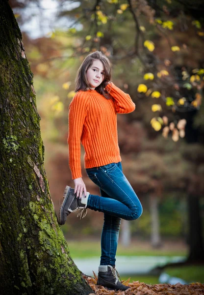 秋公園 .smiling 幸せな少女の肖像画で、かなり十代の少女の肖像画秋屋外. — ストック写真
