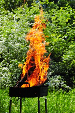 Mangal kömürleri bir dizi için bir öğle yemeği Barbekü soydular odun ve kömür içinde şömine et ızgara için hazırlanırken güzel bahçede duran yanan alevler .