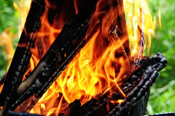 Flames burning in a barbecue standing in a pretty garden as the coals are prepared for grilling an array of meat for a lunchtime cookout .Burning wood and coal in fireplace . — Stock Photo, Image