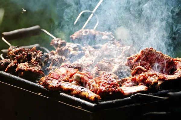 Churrasco na floresta.shashlik na natureza.Processo de cozinhar carne no churrasco, closeup.Churrasco com carne em grelha de metal, fechado na floresta com grama — Fotografia de Stock