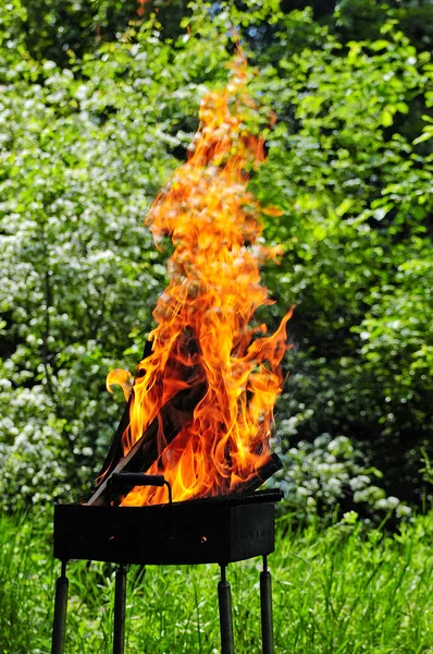 Flames burning in a barbecue standing in a pretty garden as the coals are prepared for grilling an array of meat for a lunchtime cookout .Burning wood and coal in fireplace . — Stock Photo, Image