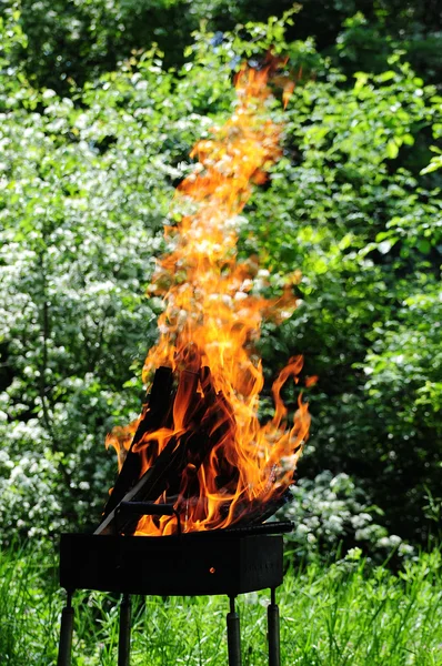 Flames burning in a barbecue standing in a pretty garden as the coals are prepared for grilling an array of meat for a lunchtime cookout .Burning wood and coal in fireplace . — Stock Photo, Image