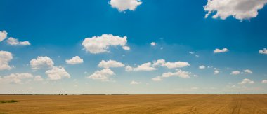 güzel koyu mavi sky.field otu ve mükemmel mavi sky.hilly alanı ile mavi sky.landscape alan ve sky.wheat alan bulutlu gökyüzü üzerinde kabarık beyaz bulutlar altında yeşil alan