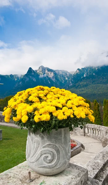 Olla grande con flores y paisaje con montañas detrás. Flores multicolores en un jarrón grande en el jardín de montaña. Olla grande al aire libre — Foto de Stock