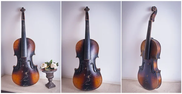 Gammal fiol lutad mot väggen nära en vas med rosor — Stockfoto