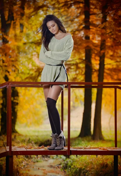 Young caucasian sensual woman in a romantic autumn scenery .Fall lady .Fashion portrait of a beautiful young woman in autumn forest. Beauty autumn — Stock Photo, Image